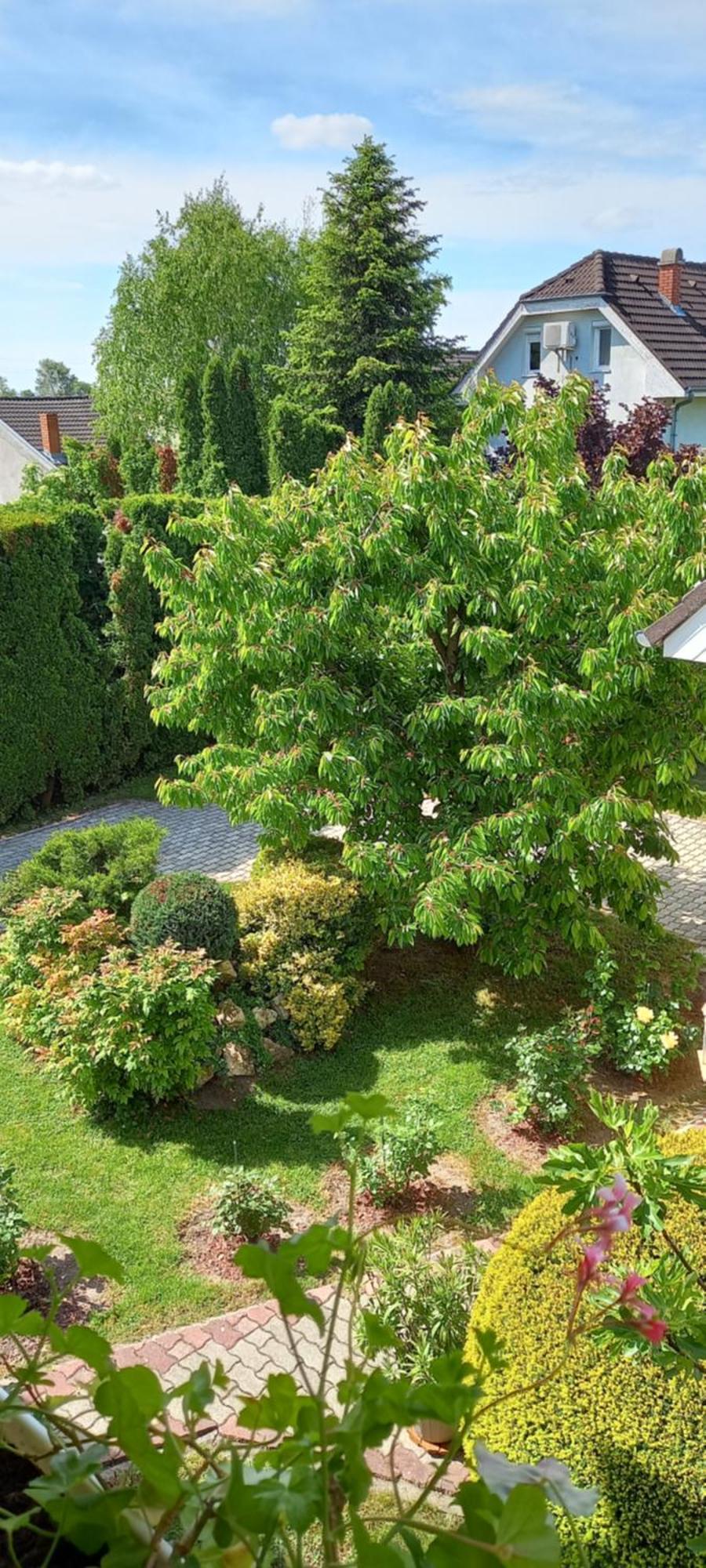 Appartamento Patrik Apartman Siófok Esterno foto